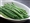 BLANCHED HARICOT VERTS