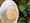 RANCH DRESSING
